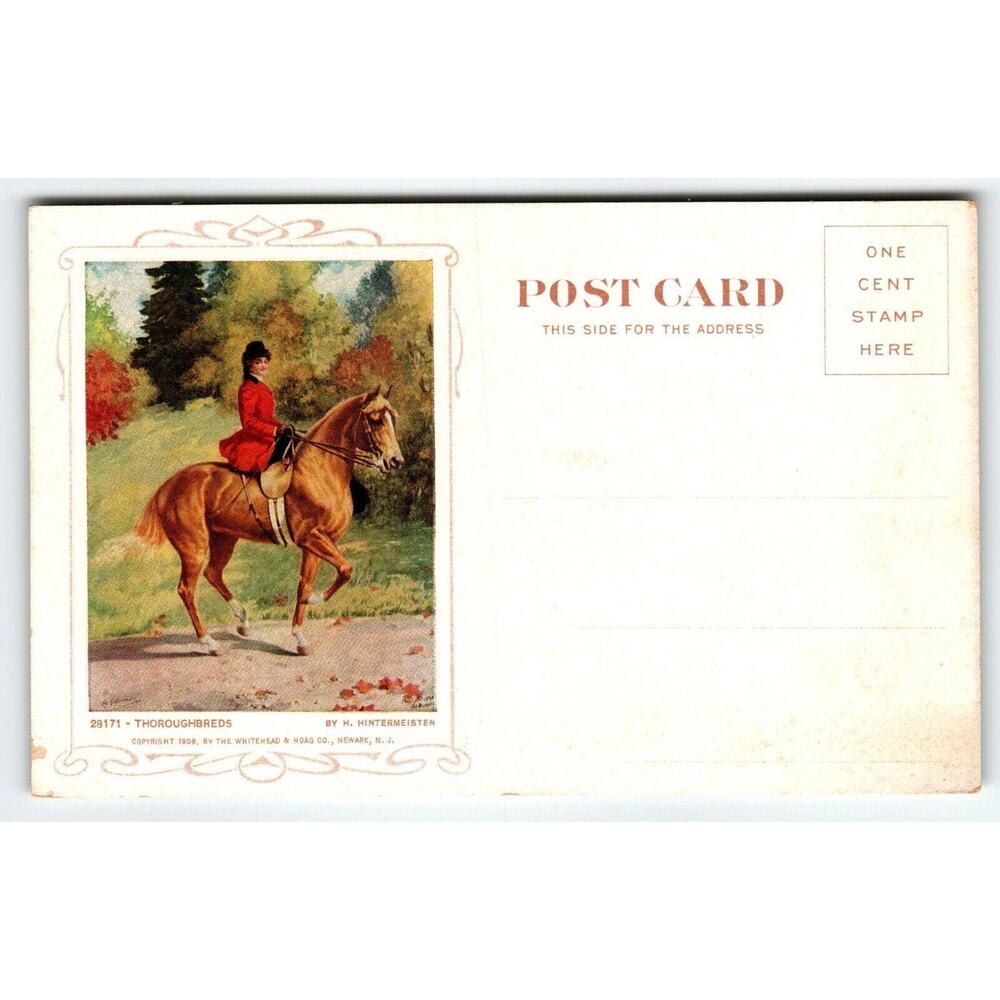 Women On Horse Back Advertising Postcard Cosmopolitan Relief Camden NJ 1909